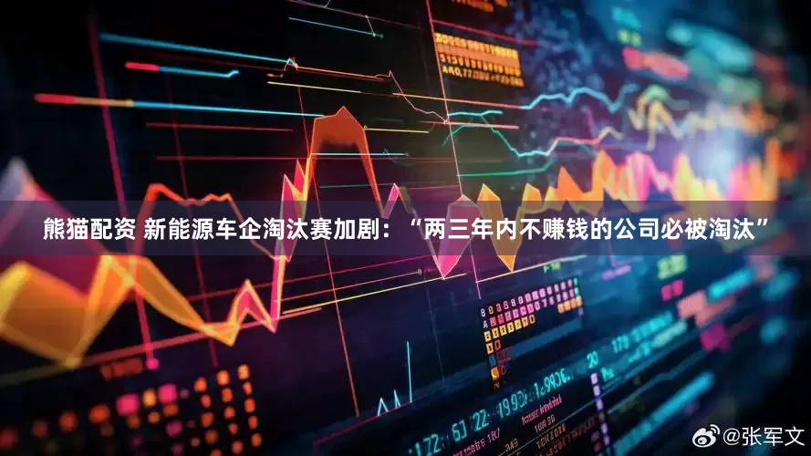 熊猫配资 新能源车企淘汰赛加剧：“两三年内不赚钱的公司必被淘汰”