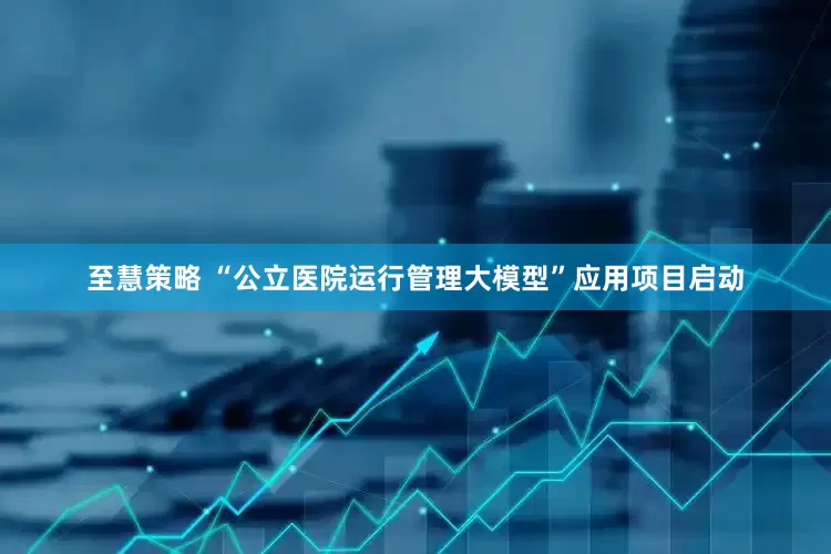 至慧策略 “公立医院运行管理大模型”应用项目启动