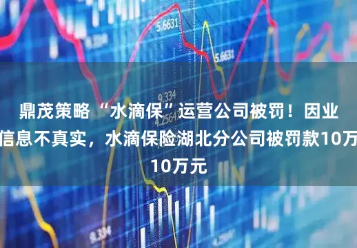 鼎茂策略 “水滴保”运营公司被罚！因业务信息不真实，水滴保险湖北分公司被罚款10万元